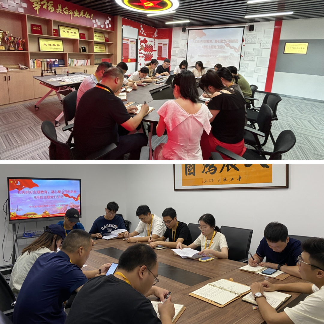 扎實(shí)抓好主題教育，凝心聚力開(kāi)創(chuàng)新局丨面粉公司開(kāi)展9月份主題黨日活動(dòng)